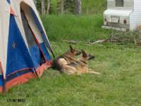 K.C. and Guy resting at the tent after a ride.